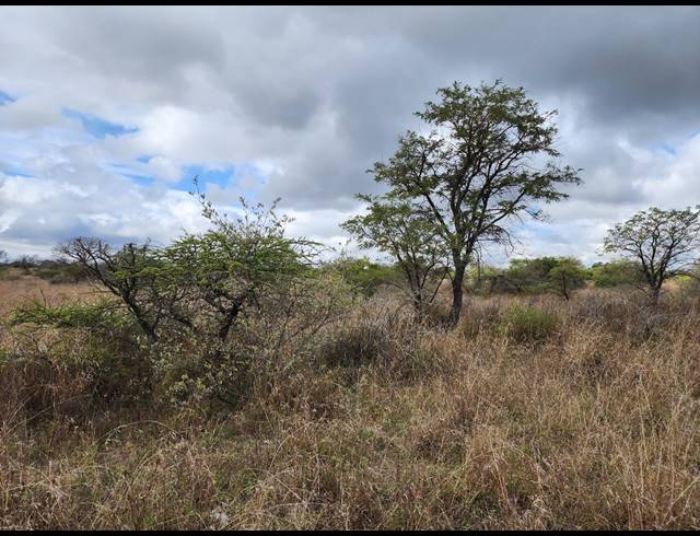 182HA FARM FOR SALE IN POLOKWANE RURAL